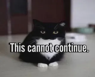 This Cannot Continue Cat