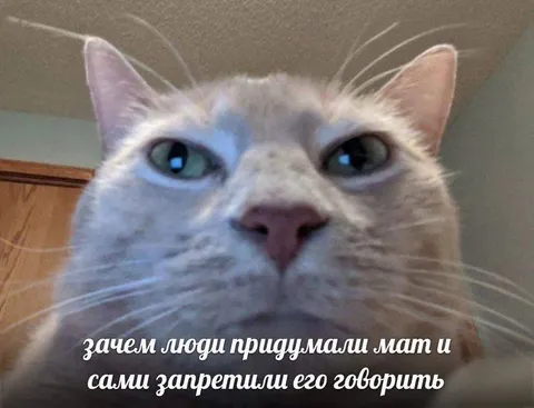 Зачем придумали мат