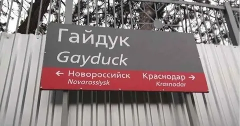 Гайдук звучит как Gay Duck