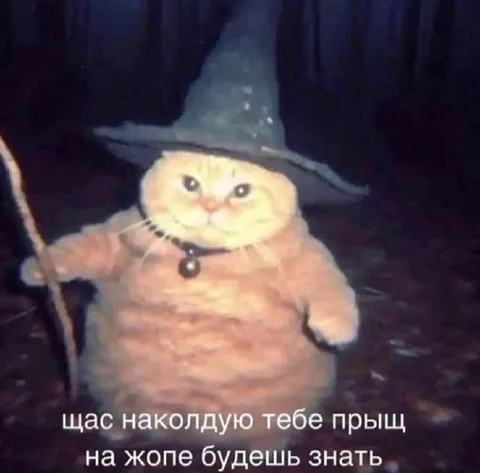 Кот наколдует прыщ