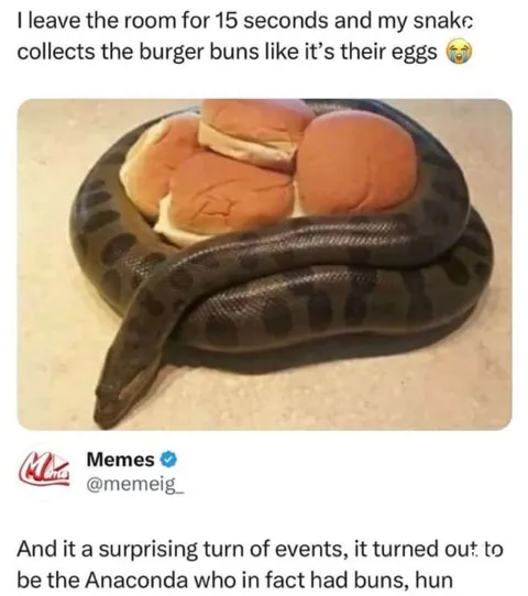 Anaconda With Burger Buns
