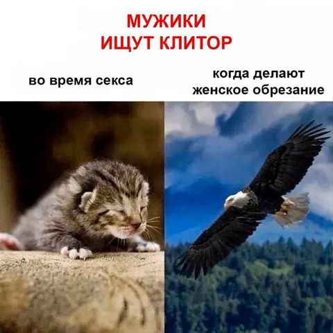 Мужики ищут клитор