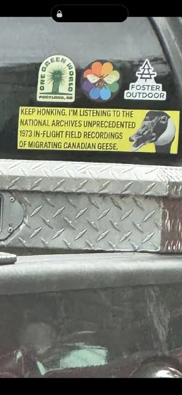 Listening to Canadian Geese