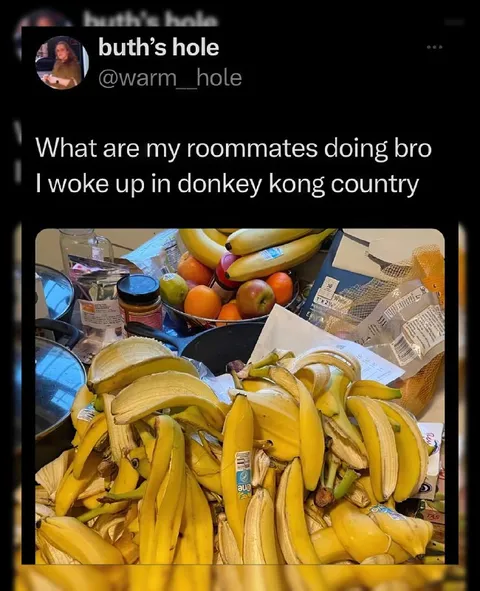 Roommates in Donkey Kong Country