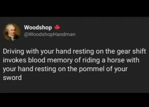 Driving With a Sword Hand