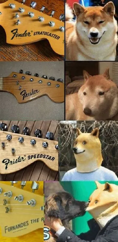 Guitar Headstocks and Dog Reactions