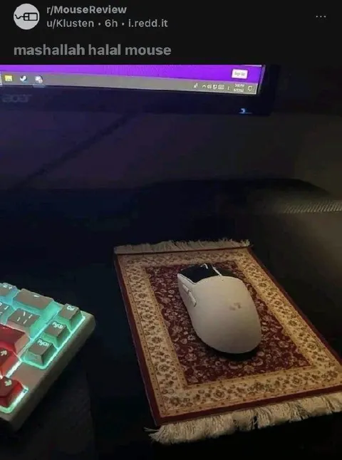 Mashallah Halal Mouse