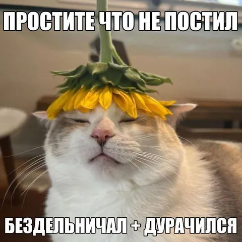 Простите что не постил