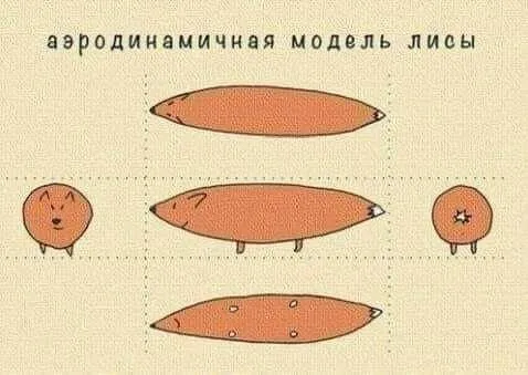 Аэродинамичная модель лисы