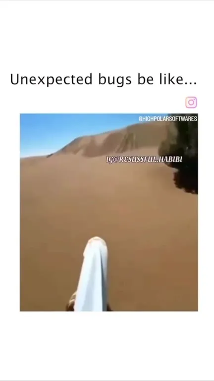 Unexpected Bugs Be Like
