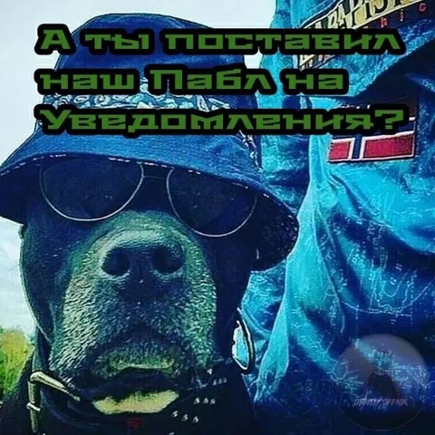А ты поставил наш пабл на уведомления?