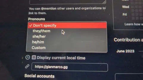 Github Pronouns Dropdown