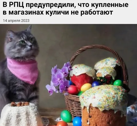 Кот и неработающие куличи