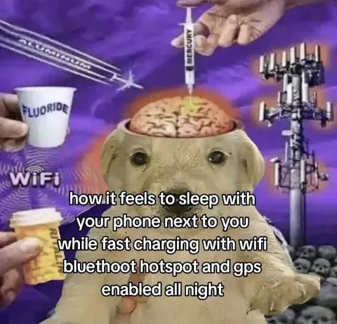 Phone Charging Radiation Dog