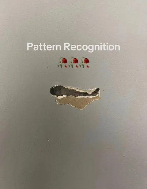 Pattern Recognition Roses