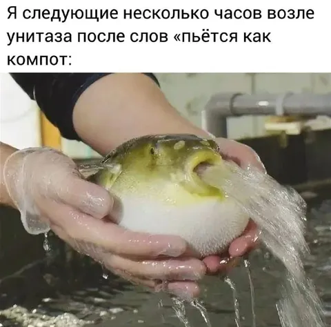 Пьётся как компот