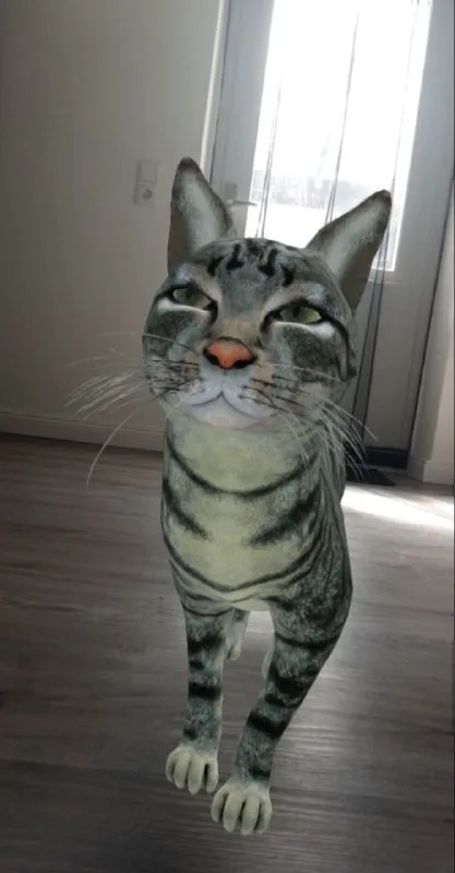 Очень странный вытянутый кот
