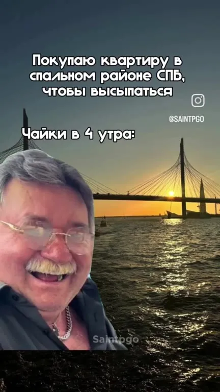 Чайки в четыре утра
