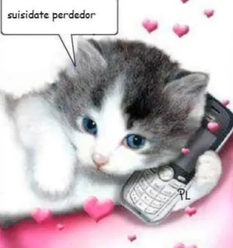 Suicidate perdedor kitten