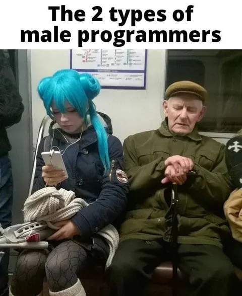 The Two Types of Male Programmers