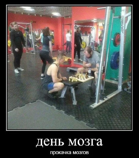День мозга в спортзале