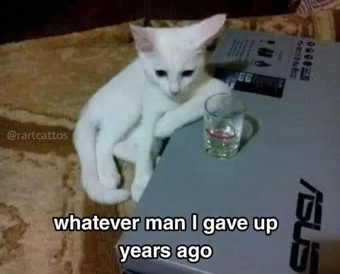 White Cat Gave Up Years Ago