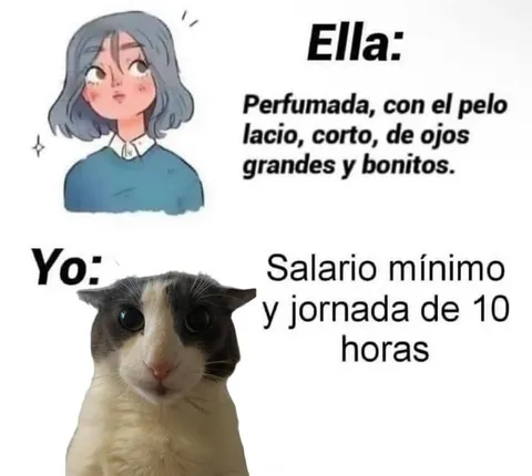 Ella perfecta, yo explotado