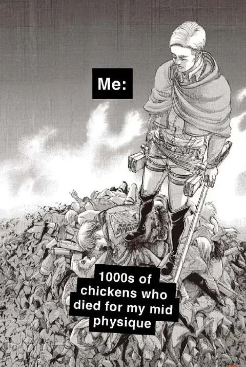 Chickens Died for My Mid Physique