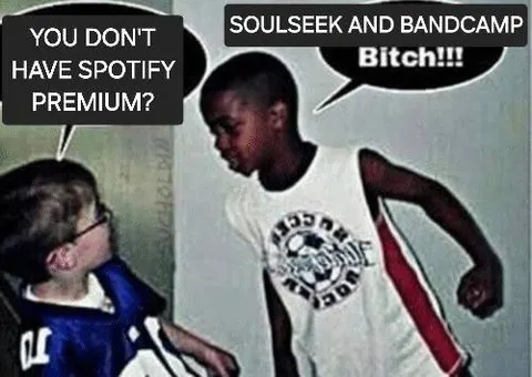 No Spotify Premium? Use Soulseek