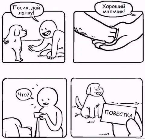 Тёсик, дай лапку — повестка