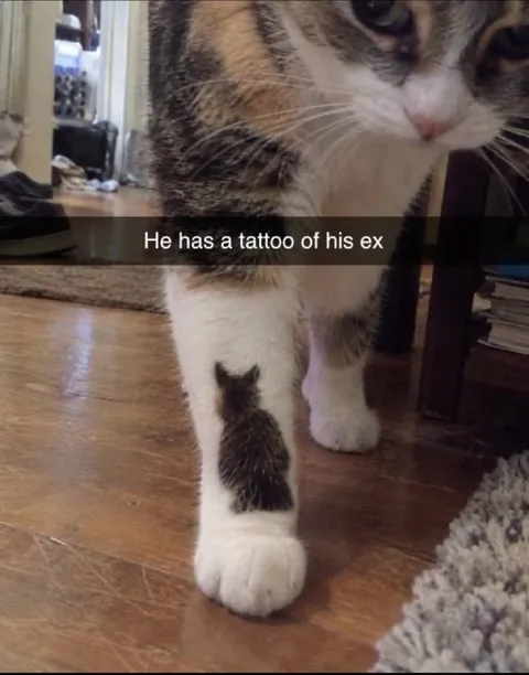 Cat Has a Tattoo of His Ex