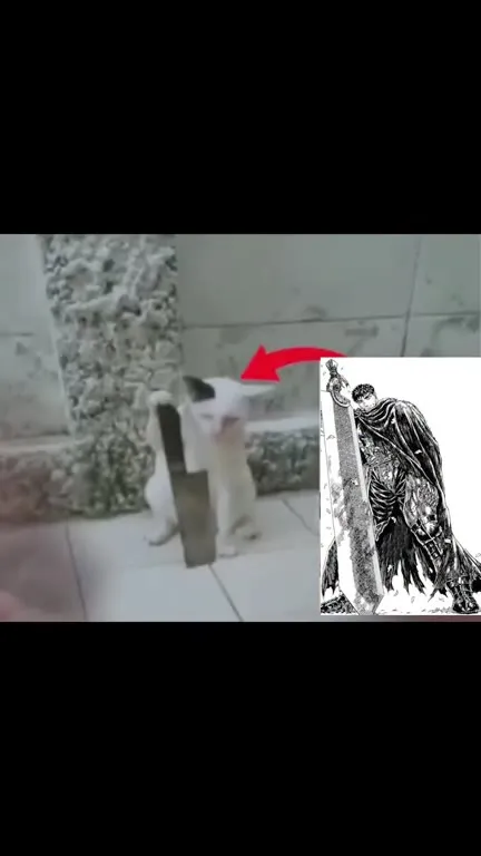 Кот и Гатс за мечом