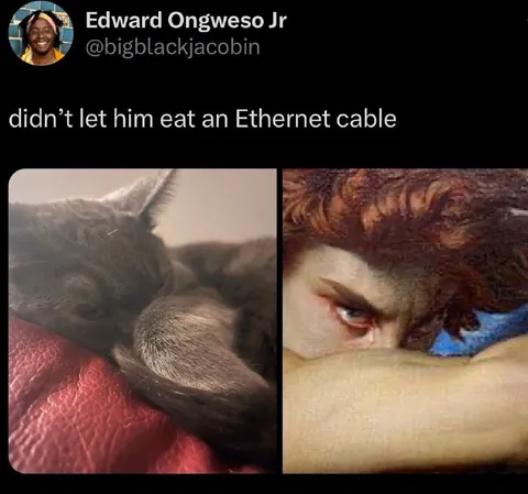 Didn’t Let Him Eat Ethernet Cable