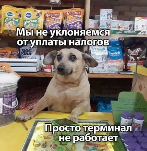 Терминал не работает