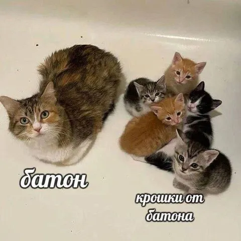 Батон и крошки от батона
