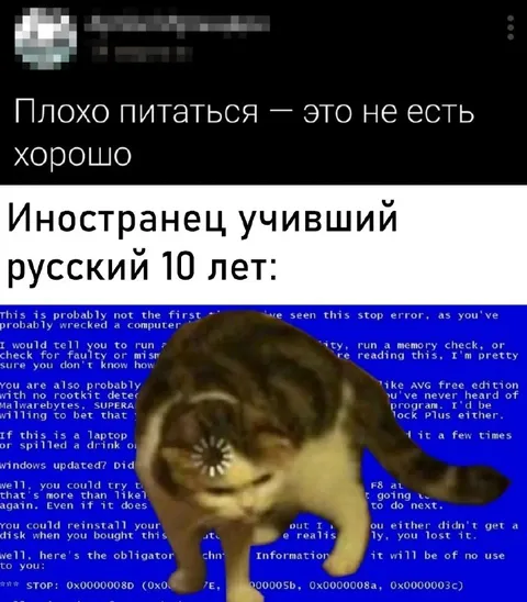 Иностранец учивший русский 10 лет