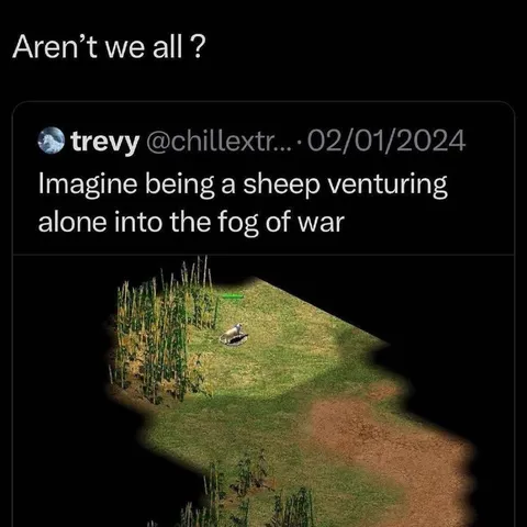 Sheep Ventures Into the Fog of War