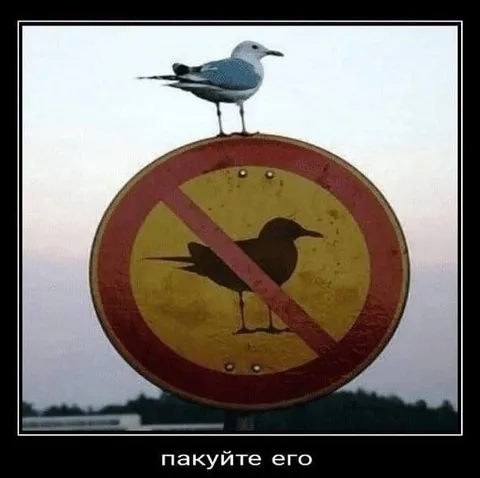 Пакуйте его