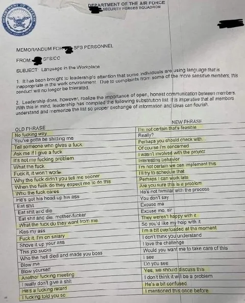 Workplace Profanity Translation Guide