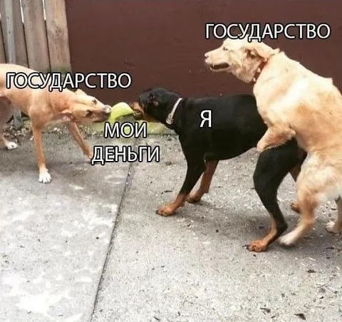 Государство забирает мои деньги