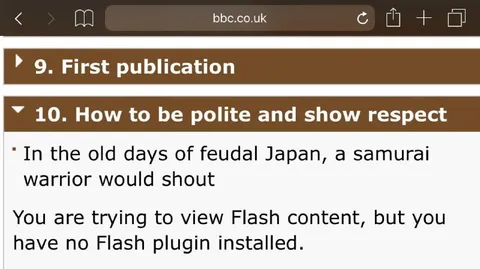 Samurai Shouts at Flash Content