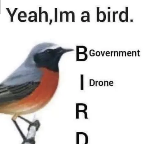 Bird Government Drone Acronym