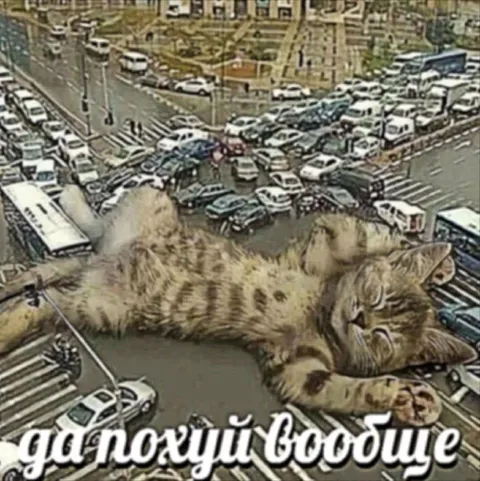 Агрономы вообще на дорогах