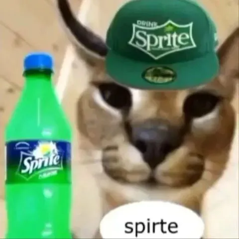 Cat Spells Sprite Wrong