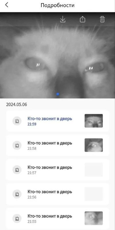 Кот следит за дверью
