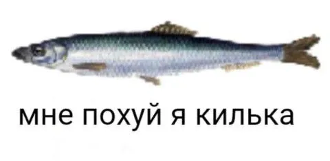 Мне похуй, я килька