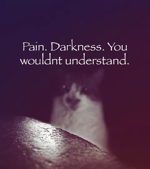 Pain Darkness You Wouldn't Understand