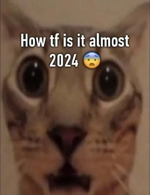 Almost 2024 Shocked Cat