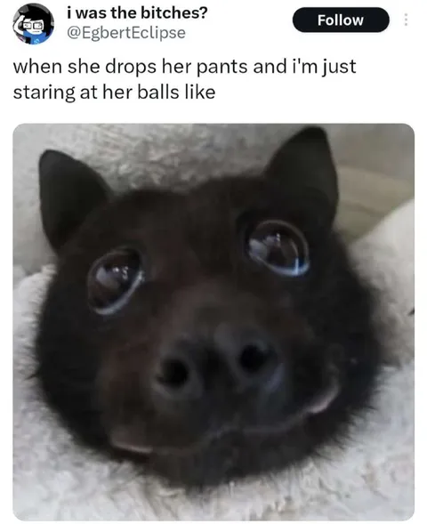 Staring at Her Balls