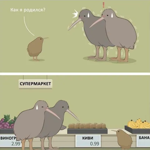 Как я родился в супермаркете